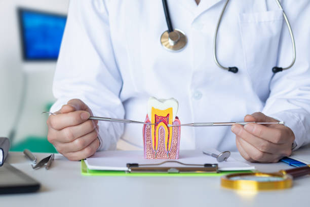 Best Emergency Dental Care for Trauma or Injury in Wakarusa, IN